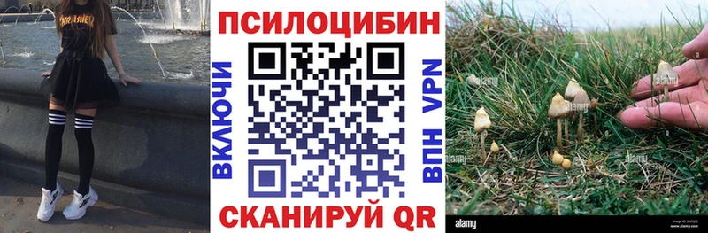 Псилоцибиновые грибы MAGIC MUSHROOMS  Купить  Светлый 